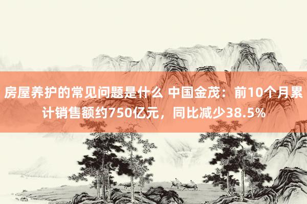 房屋养护的常见问题是什么 中国金茂：前10个月累计销售额约750亿元，同比减少38.5%