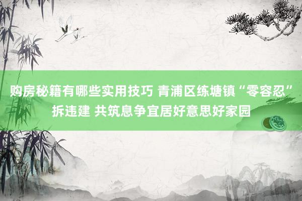 购房秘籍有哪些实用技巧 青浦区练塘镇“零容忍”拆违建 共筑息争宜居好意思好家园