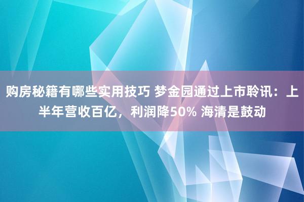 购房秘籍有哪些实用技巧 梦金园通过上市聆讯：上半年营收百亿，利润降50% 海清是鼓动