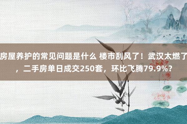 房屋养护的常见问题是什么 楼市刮风了！武汉太燃了，二手房单日成交250套，环比飞腾79.9%？