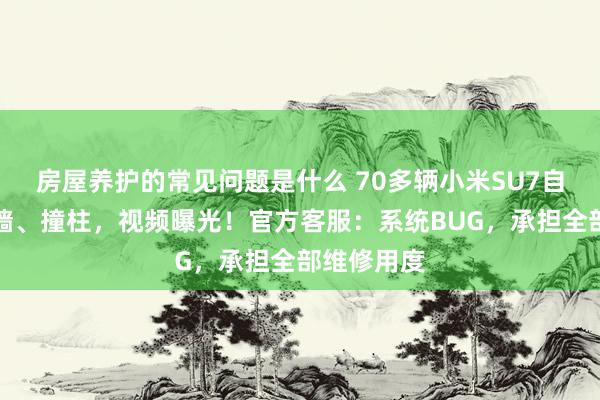 房屋养护的常见问题是什么 70多辆小米SU7自动泊车撞墙、撞柱，视频曝光！官方客服：系统BUG，承担全部维修用度