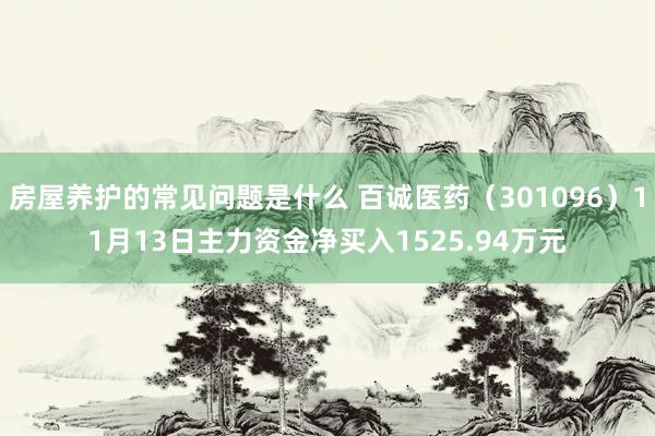 房屋养护的常见问题是什么 百诚医药（301096）11月13日主力资金净买入1525.94万元