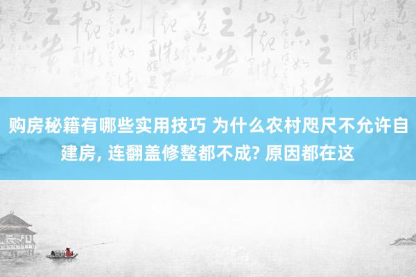 购房秘籍有哪些实用技巧 为什么农村咫尺不允许自建房, 连翻盖修整都不成? 原因都在这