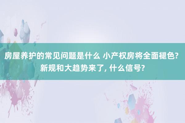 房屋养护的常见问题是什么 小产权房将全面褪色? 新规和大趋势来了, 什么信号?