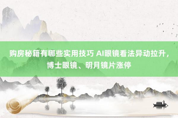 购房秘籍有哪些实用技巧 AI眼镜看法异动拉升，博士眼镜、明月镜片涨停