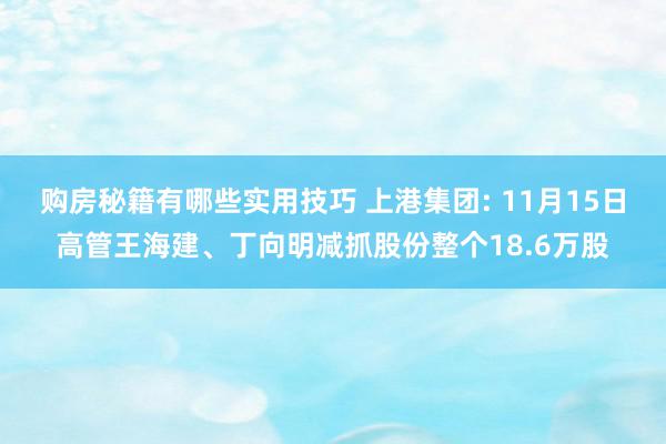 购房秘籍有哪些实用技巧 上港集团: 11月15日高管王海建、丁向明减抓股份整个18.6万股