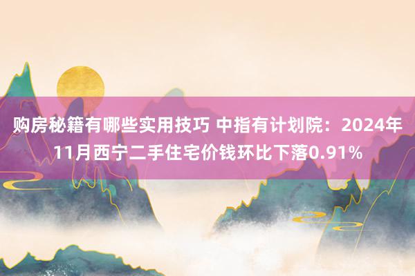 购房秘籍有哪些实用技巧 中指有计划院：2024年11月西宁二手住宅价钱环比下落0.91%