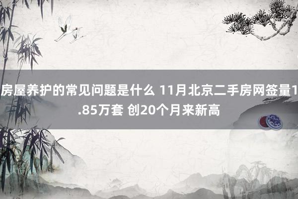 房屋养护的常见问题是什么 11月北京二手房网签量1.85万套 创20个月来新高