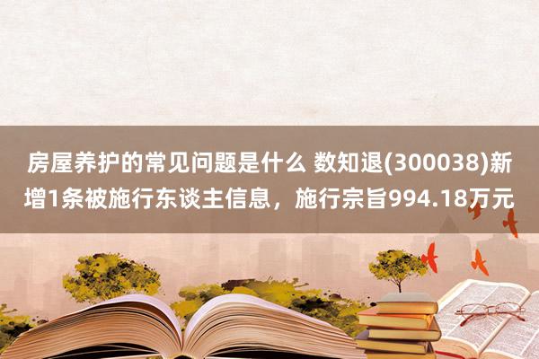 房屋养护的常见问题是什么 数知退(300038)新增1条被施行东谈主信息，施行宗旨994.18万元