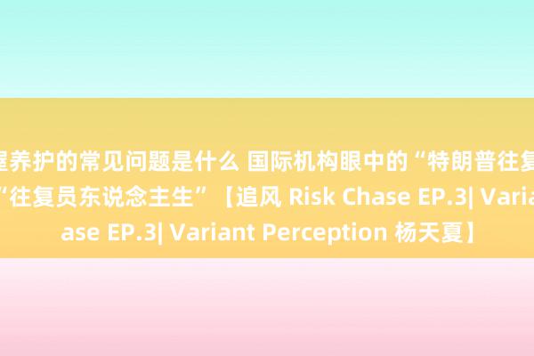 房屋养护的常见问题是什么 国际机构眼中的“特朗普往复”、“中国转向”与“往复员东说念主生”【追风 Risk Chase EP.3| Variant Perception 杨天夏】