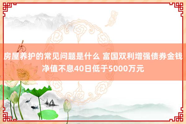 房屋养护的常见问题是什么 富国双利增强债券金钱净值不息40日低于5000万元