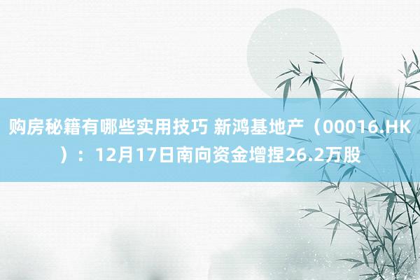 购房秘籍有哪些实用技巧 新鸿基地产（00016.HK）：12月17日南向资金增捏26.2万股