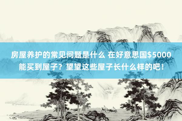 房屋养护的常见问题是什么 在好意思国$5000能买到屋子？望望这些屋子长什么样的吧！