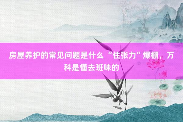 房屋养护的常见问题是什么 “住张力”爆棚，万科是懂去班味的