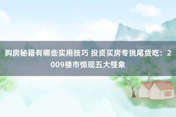 购房秘籍有哪些实用技巧 投资买房专挑尾货吃：2009楼市惊现五大怪象