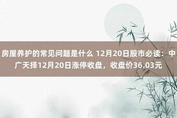 房屋养护的常见问题是什么 12月20日股市必读：中广天择12月20日涨停收盘，收盘价36.03元