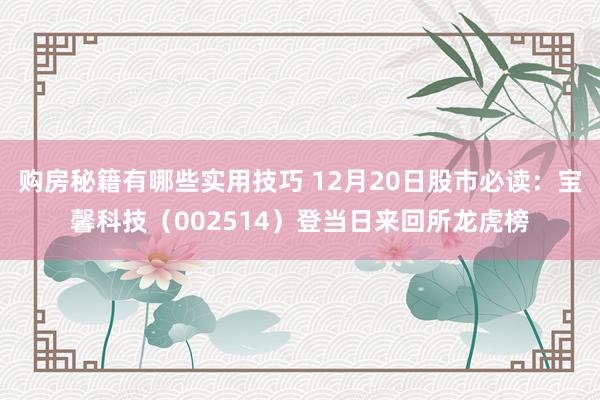 购房秘籍有哪些实用技巧 12月20日股市必读：宝馨科技（002514）登当日来回所龙虎榜