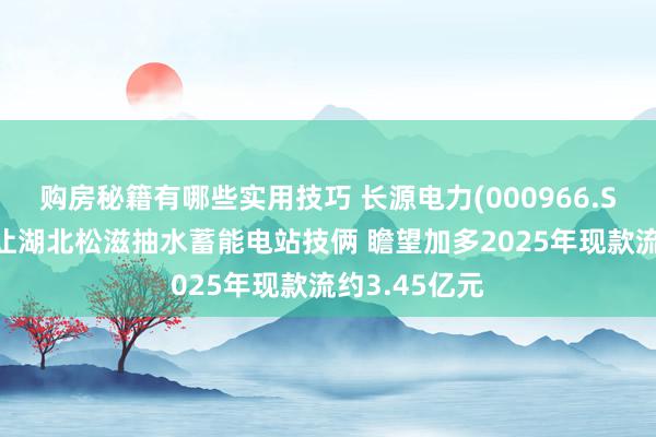 购房秘籍有哪些实用技巧 长源电力(000966.SZ)拟左券转让湖北松滋抽水蓄能电站技俩 瞻望加多2025年现款流约3.45亿元