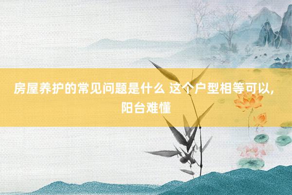 房屋养护的常见问题是什么 这个户型相等可以, 阳台难懂