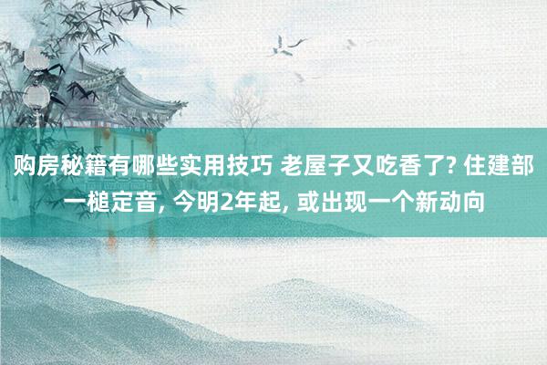 购房秘籍有哪些实用技巧 老屋子又吃香了? 住建部一槌定音, 今明2年起, 或出现一个新动向