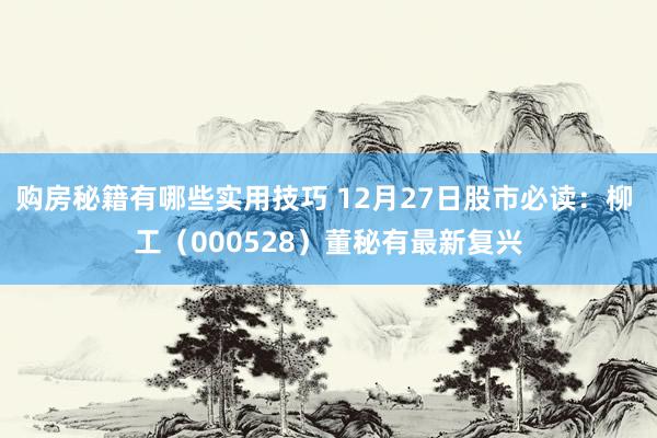 购房秘籍有哪些实用技巧 12月27日股市必读：柳 工（000528）董秘有最新复兴