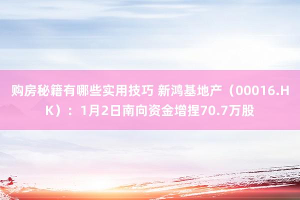 购房秘籍有哪些实用技巧 新鸿基地产（00016.HK）：1月2日南向资金增捏70.7万股