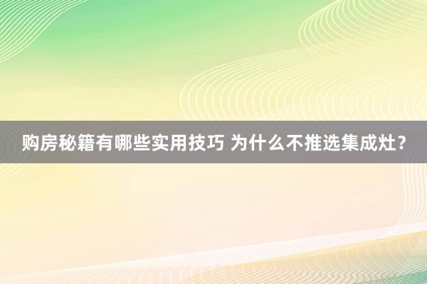 购房秘籍有哪些实用技巧 为什么不推选集成灶？