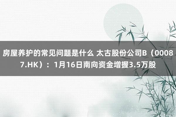 房屋养护的常见问题是什么 太古股份公司B（00087.HK）：1月16日南向资金增握3.5万股