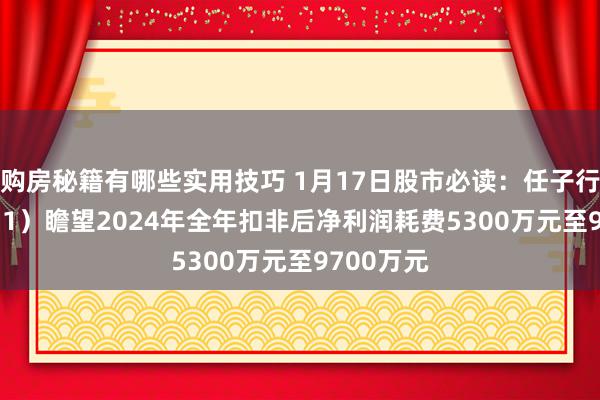 购房秘籍有哪些实用技巧 1月17日股市必读：任子行（300311）瞻望2024年全年扣非后净利润耗费5300万元至9700万元