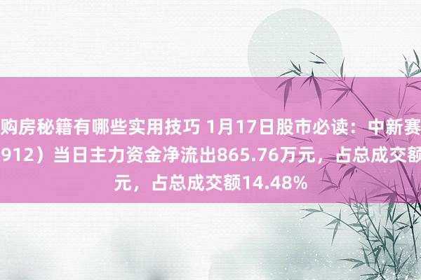 购房秘籍有哪些实用技巧 1月17日股市必读：中新赛克（002912）当日主力资金净流出865.76万元，占总成交额14.48%