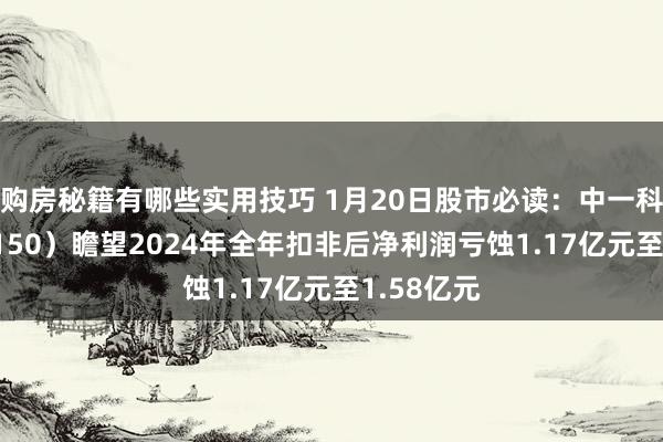 购房秘籍有哪些实用技巧 1月20日股市必读：中一科技（301150）瞻望2024年全年扣非后净利润亏蚀1.17亿元至1.58亿元