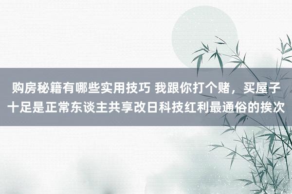 购房秘籍有哪些实用技巧 我跟你打个赌，买屋子十足是正常东谈主共享改日科技红利最通俗的挨次