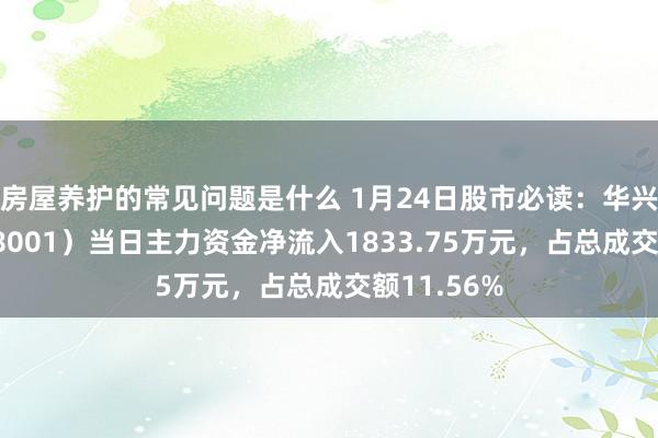 房屋养护的常见问题是什么 1月24日股市必读：华兴源创（688001）当日主力资金净流入1833.75万元，占总成交额11.56%