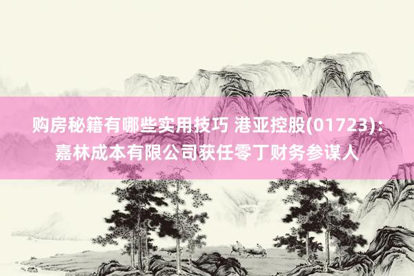 购房秘籍有哪些实用技巧 港亚控股(01723)：嘉林成本有限公司获任零丁财务参谋人