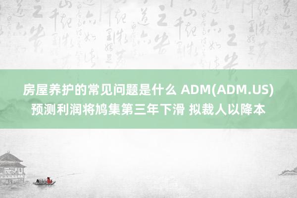 房屋养护的常见问题是什么 ADM(ADM.US)预测利润将鸠集第三年下滑 拟裁人以降本