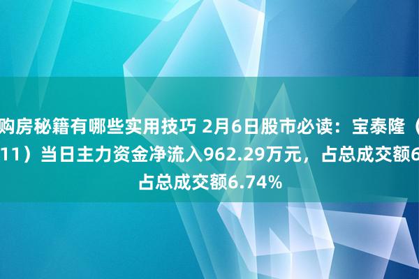 购房秘籍有哪些实用技巧 2月6日股市必读：宝泰隆（601011）当日主力资金净流入962.29万元，占总成交额6.74%