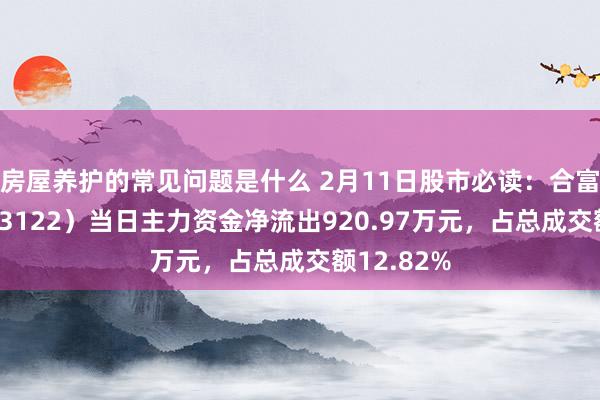 房屋养护的常见问题是什么 2月11日股市必读：合富中国（603122）当日主力资金净流出920.97万元，占总成交额12.82%