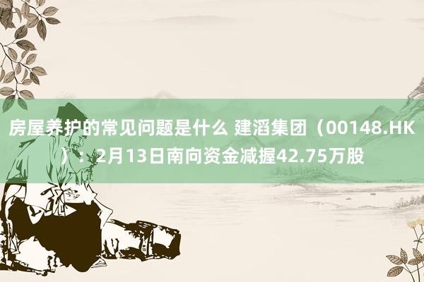 房屋养护的常见问题是什么 建滔集团（00148.HK）：2月13日南向资金减握42.75万股