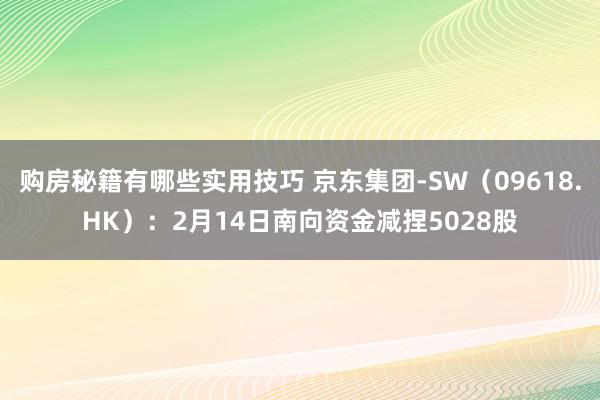 购房秘籍有哪些实用技巧 京东集团-SW（09618.HK）：2月14日南向资金减捏5028股