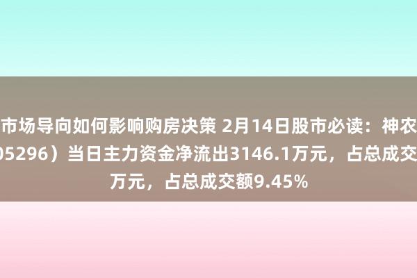 市场导向如何影响购房决策 2月14日股市必读：神农集团（605296）当日主力资金净流出3146.1万元，占总成交额9.45%