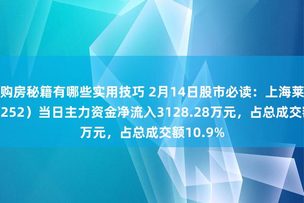 购房秘籍有哪些实用技巧 2月14日股市必读：上海莱士（002252）当日主力资金净流入3128.28万元，占总成交额10.9%