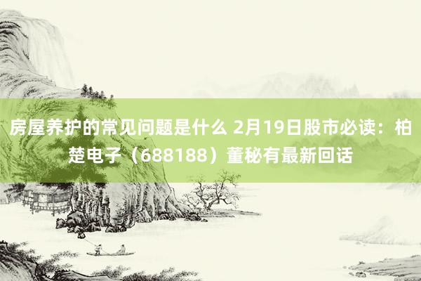 房屋养护的常见问题是什么 2月19日股市必读：柏楚电子（688188）董秘有最新回话