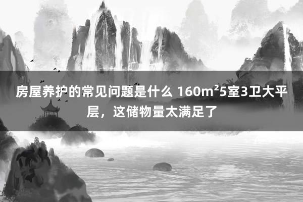 房屋养护的常见问题是什么 160m²5室3卫大平层，这储物量太满足了