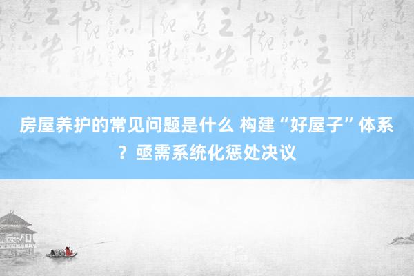 房屋养护的常见问题是什么 构建“好屋子”体系？亟需系统化惩处决议