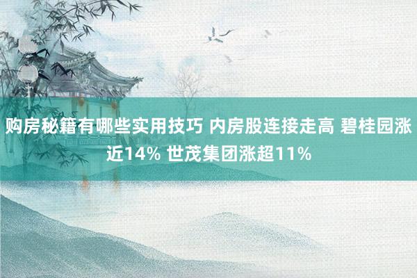 购房秘籍有哪些实用技巧 内房股连接走高 碧桂园涨近14% 世茂集团涨超11%