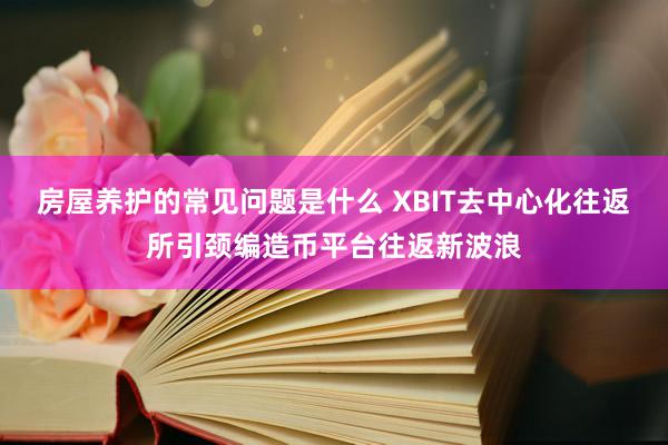 房屋养护的常见问题是什么 XBIT去中心化往返所引颈编造币平台往返新波浪