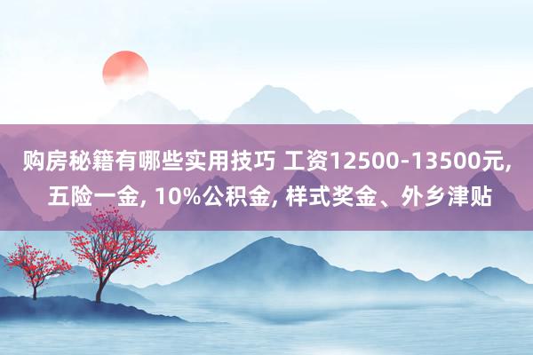 购房秘籍有哪些实用技巧 工资12500-13500元, 五险一金, 10%公积金, 样式奖金、外乡津贴