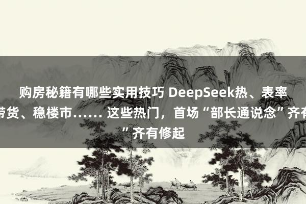 购房秘籍有哪些实用技巧 DeepSeek热、表率直播带货、稳楼市…… 这些热门，首场“部长通说念”齐有修起