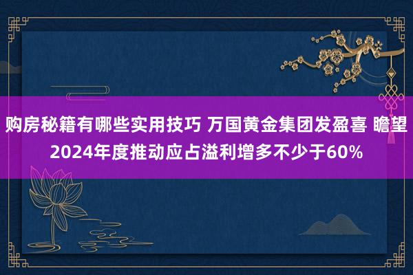 购房秘籍有哪些实用技巧 万国黄金集团发盈喜 瞻望2024年度推动应占溢利增多不少于60%