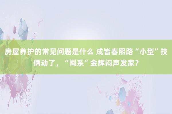 房屋养护的常见问题是什么 成皆春熙路“小型”技俩动了，“闽系”金辉闷声发家？